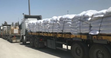 إعلام إسرائيلي: دخول 30 شاحنة مساعدات يومياً إلى غزة هذا الأسبوع 2 إعلام إسرائيلي: دخول 30 شاحنة مساعدات يومياً إلى غزة هذا الأسبوع