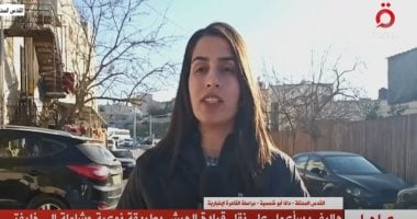 تقدم جزئي في مفاوضات تبادل الأسرى ووقف القتال في غزة 2 تقدم جزئي في مفاوضات تبادل الأسرى ووقف القتال في غزة