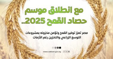 الحكومة تعرض جهود زيادة إنتاج القمح المحلي وتأمين مخزونه عبر إنفوجراف 2 الحكومة تعرض جهود زيادة إنتاج القمح المحلي وتأمين مخزونه عبر إنفوجراف