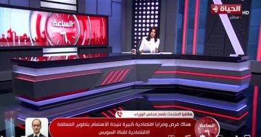 متحدث الوزراء: 14 مطورًا صناعيًا يعملون في المنطقة الاقتصادية لقناة السويس 2 متحدث الوزراء: 14 مطورًا صناعيًا يعملون في المنطقة الاقتصادية لقناة السويس