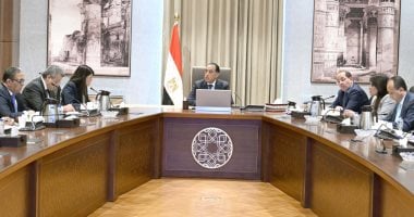 رئيس الوزراء يتابع أعمال لجنة حوكمة الاستثمارات العامة في الدولة 2 رئيس الوزراء يتابع أعمال لجنة حوكمة الاستثمارات العامة في الدولة
