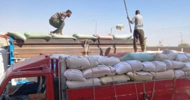 محافظ سوهاج: توريد 130 ألف طن قمح وصرف 1.783 مليار جنيه للمزارعين 2 محافظ سوهاج: توريد 130 ألف طن قمح وصرف 1.783 مليار جنيه للمزارعين