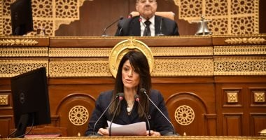 وزيرة التخطيط: الحكومة تدعم القطاع الخاص ومصر تجذب الاستثمارات الأجنبية 2 وزيرة التخطيط: الحكومة تدعم القطاع الخاص ومصر تجذب الاستثمارات الأجنبية