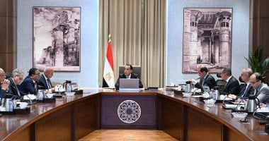 رئيس الوزراء يتابع تطوير النظام الجمركي وإجراءات التسجيل المسبق للشحنات 2 رئيس الوزراء يتابع تطوير النظام الجمركي وإجراءات التسجيل المسبق للشحنات