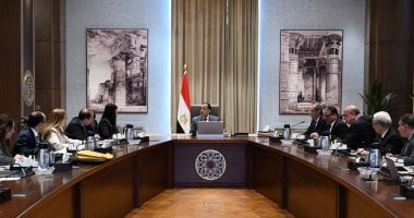 رئيس الوزراء يتابع حل الخلافات المالية بين بنك الاستثمار والجهات الحكومية 2 رئيس الوزراء يتابع حل الخلافات المالية بين بنك الاستثمار والجهات الحكومية