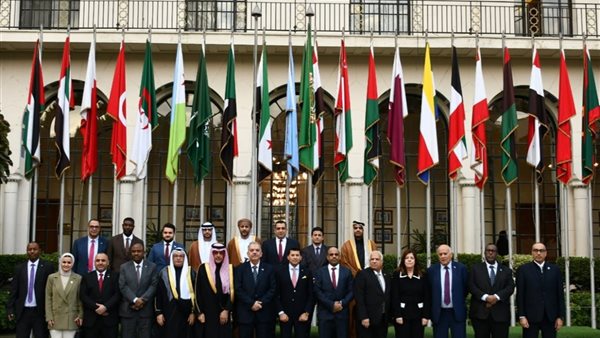 وزير الشباب والرياضة يتولى رئاسة المكتب التنفيذي لمجلس وزراء الشباب العرب