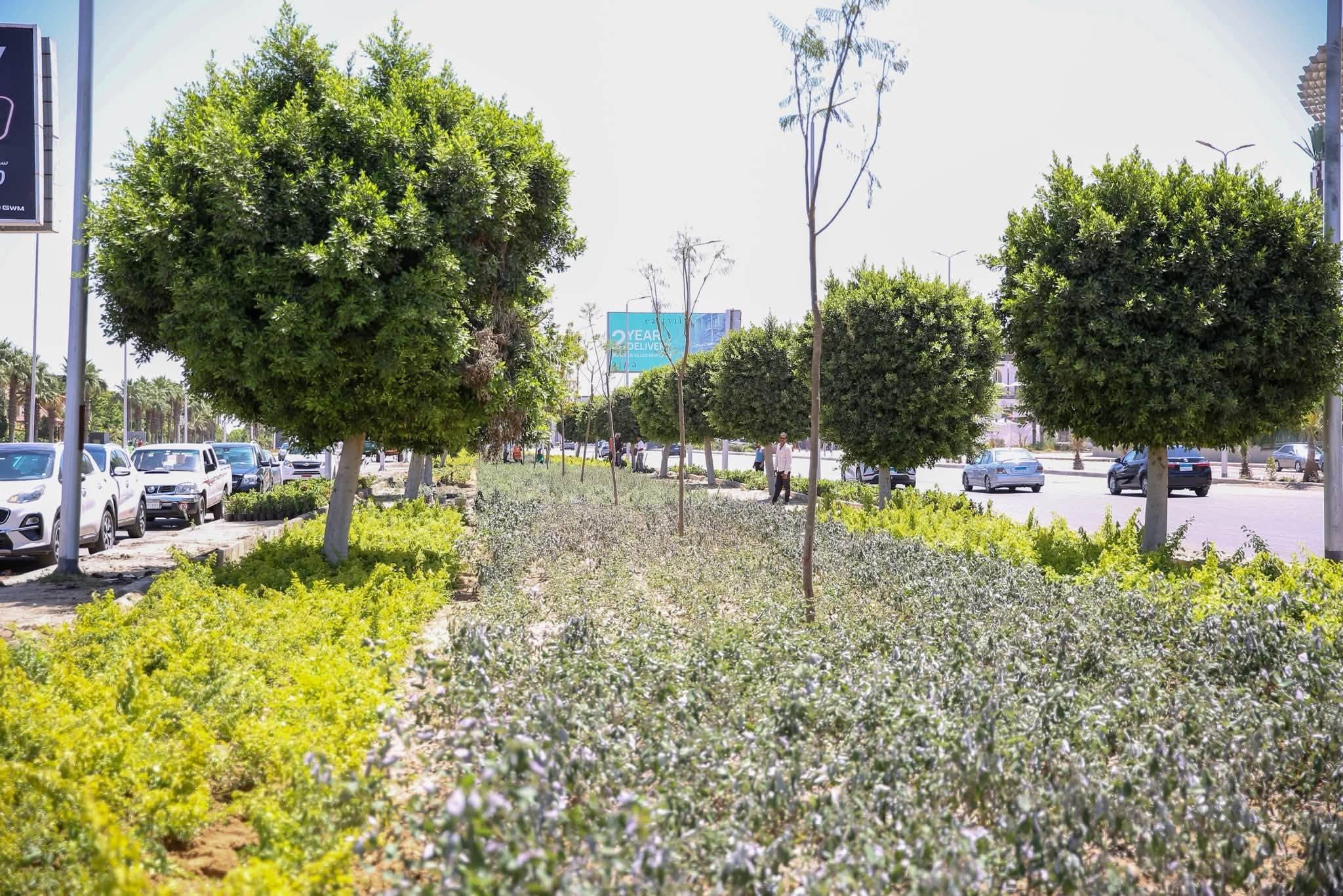 جولة وزيرة الإسكان
