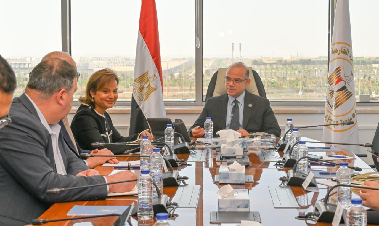 وزير الاستثمار