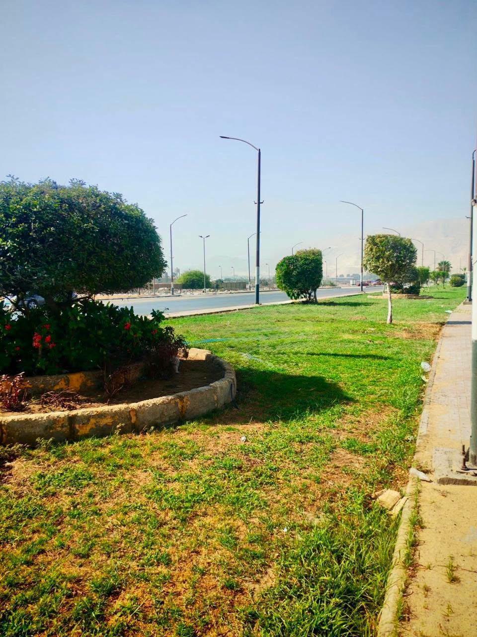 جانب من المشروعات