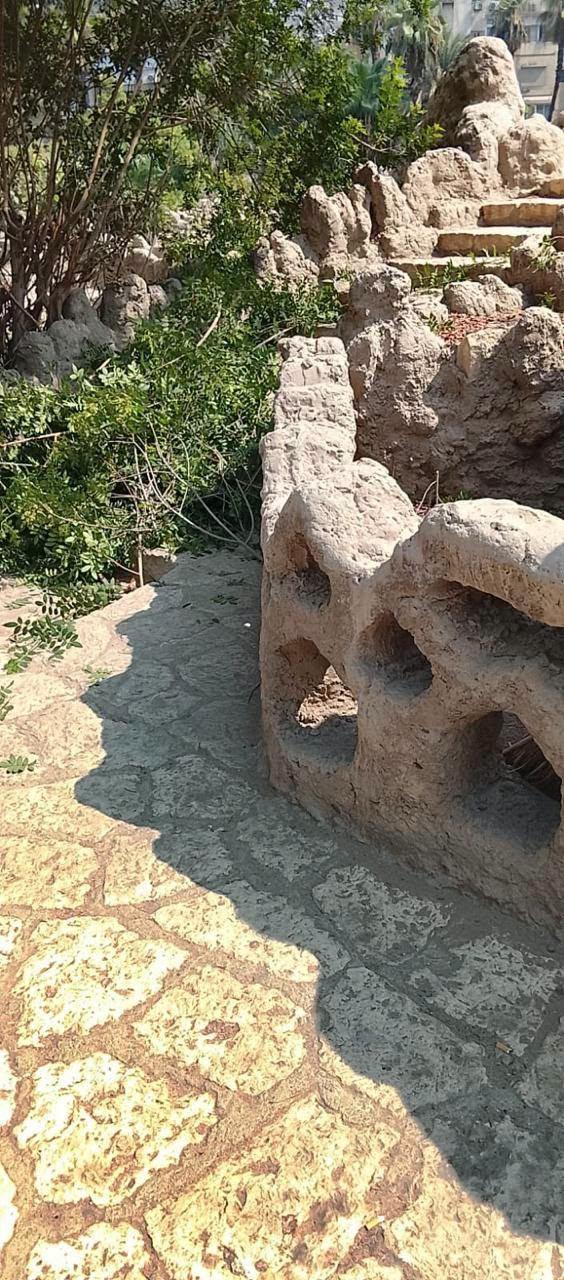 أشجار حديقة الأسماك