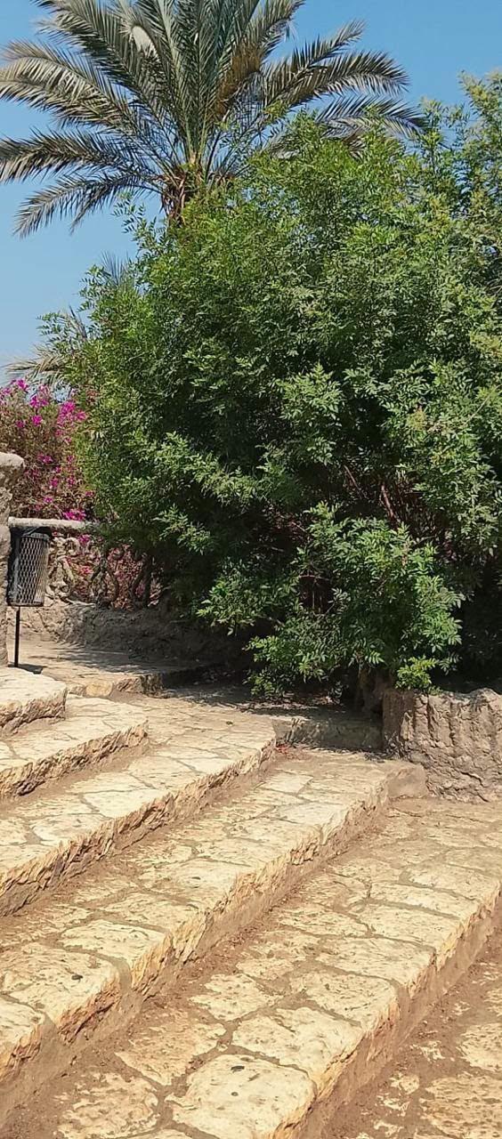 أشجار حديقة الأسماك