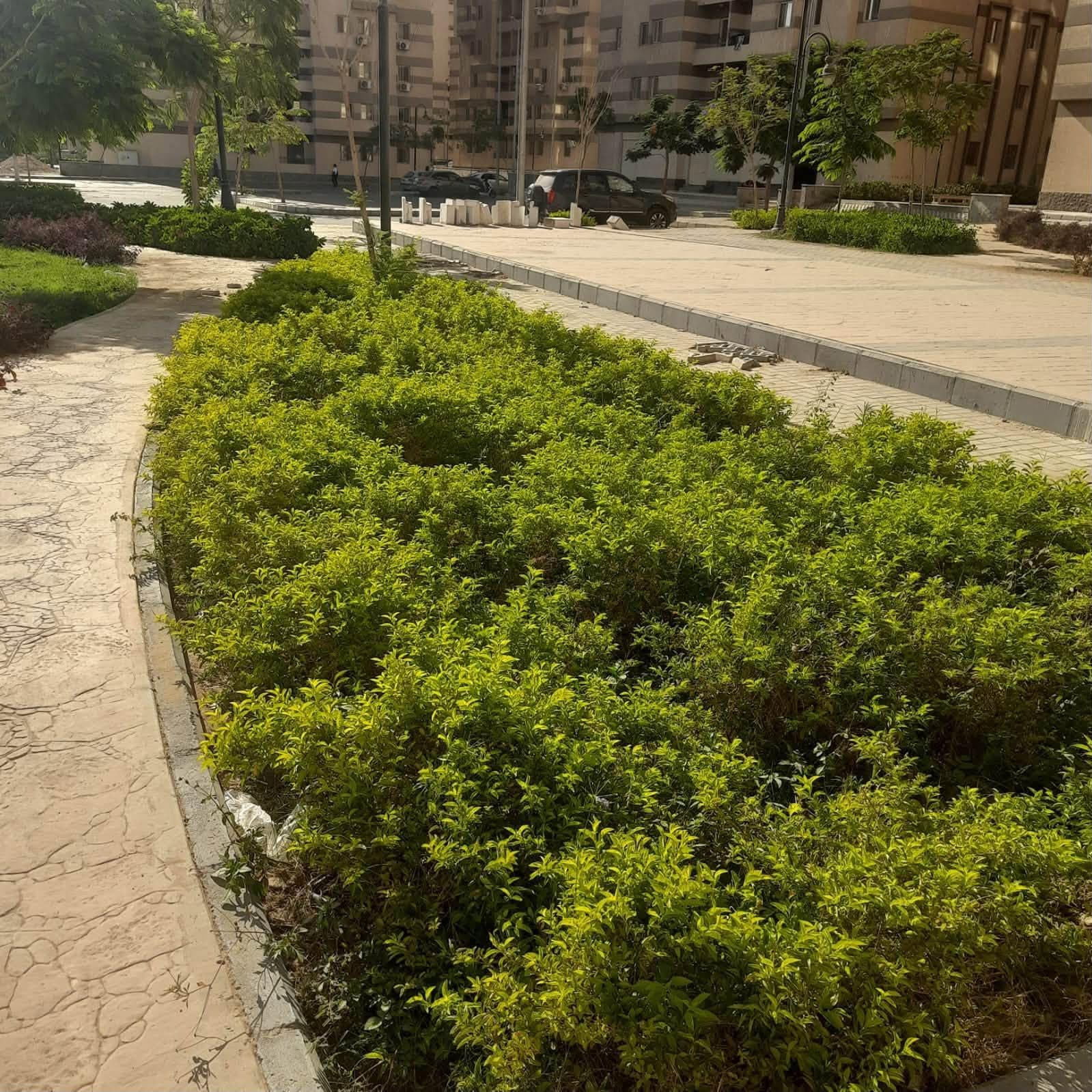 الإسكان