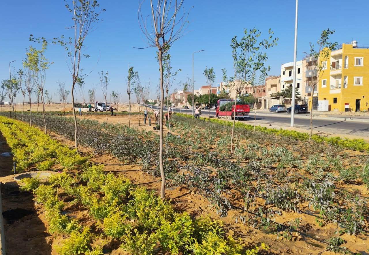 مشروعات مدينة بدر