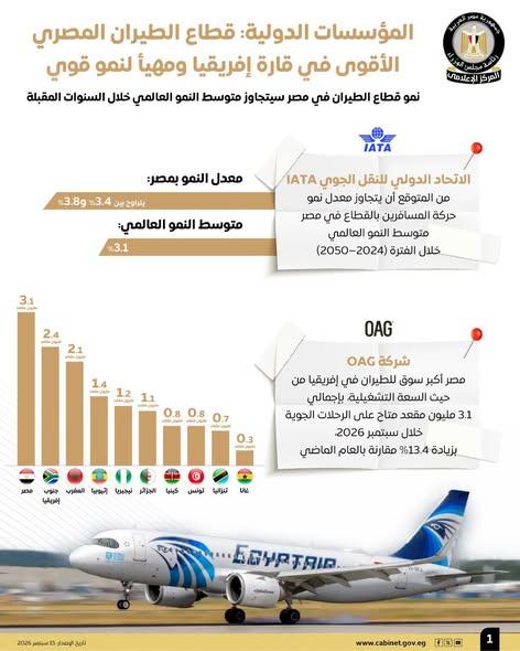 قطاع الطيران المصري
