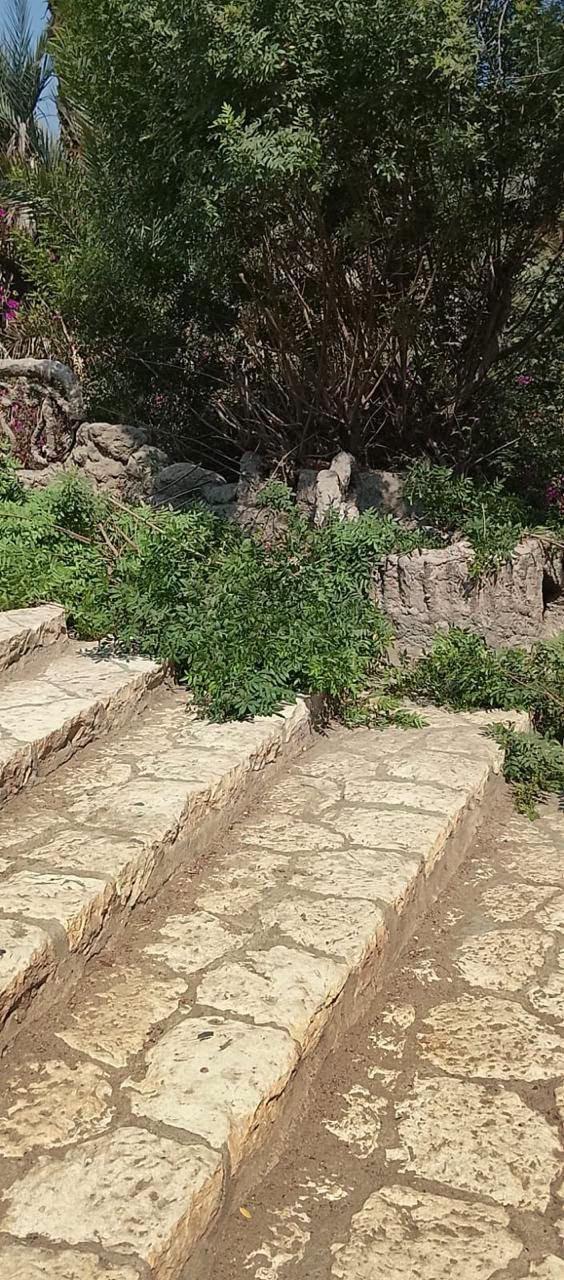 أشجار حديقة الأسماك