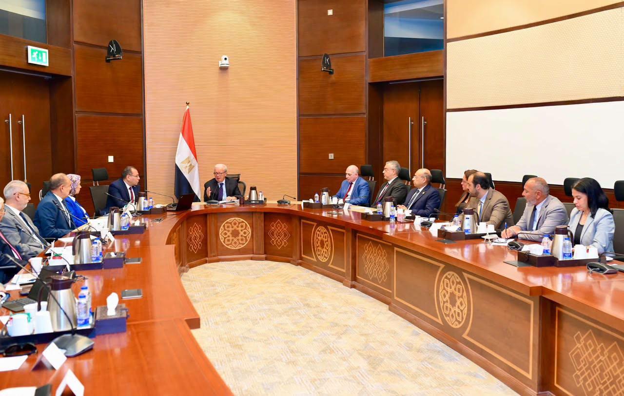 نائب رئيس مجلس الوزراء
