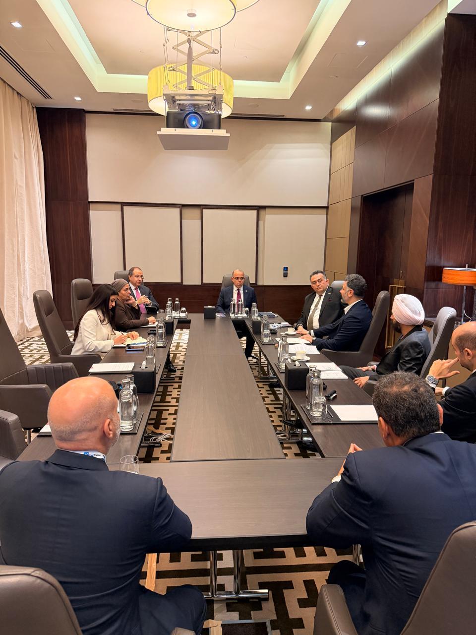 وزير الاستثمار