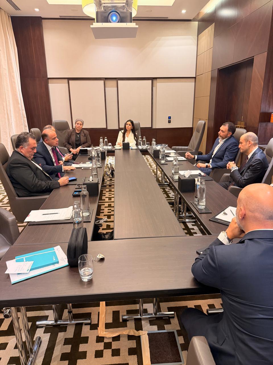 وزير الاستثمار